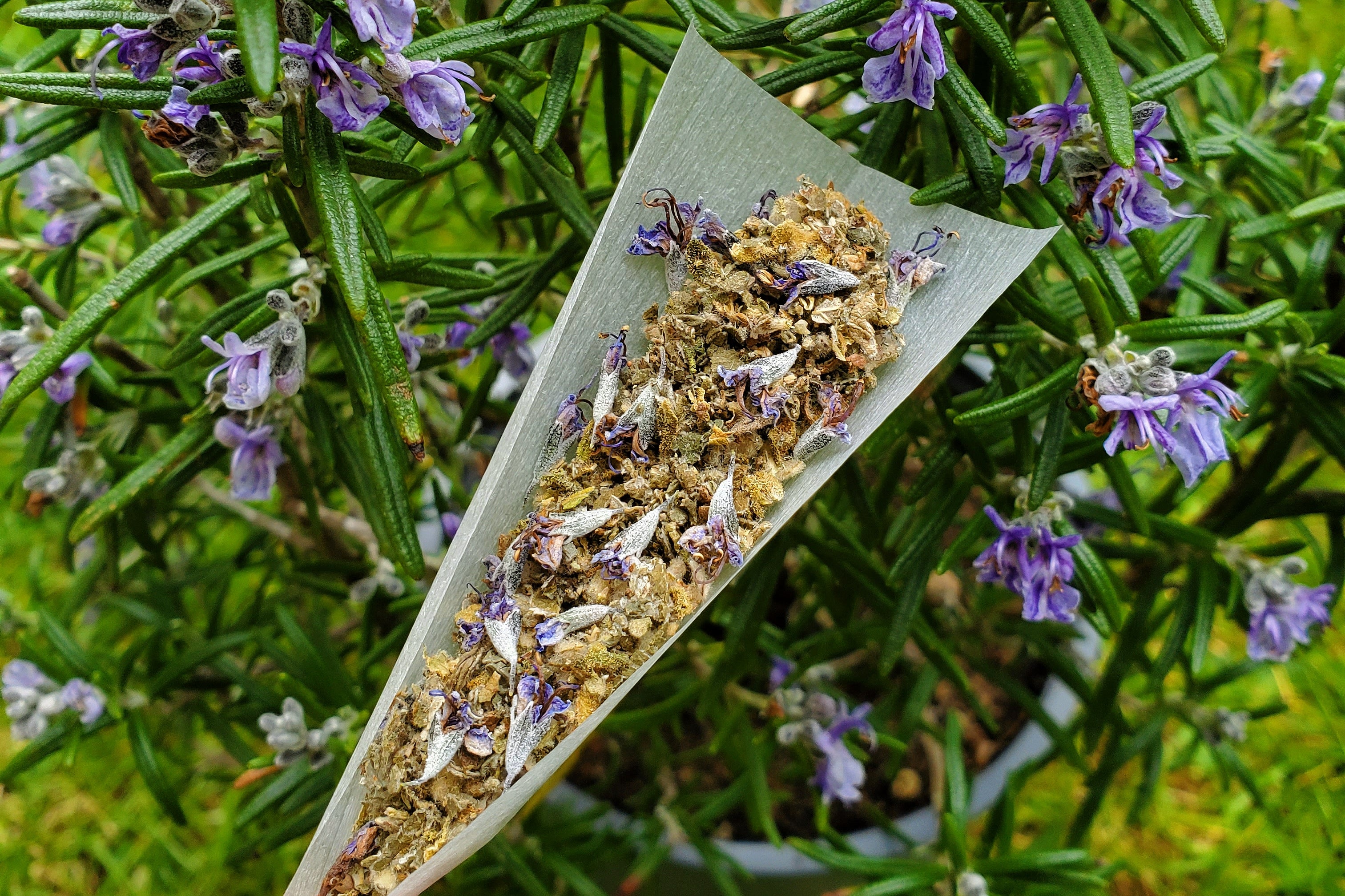 rosemary flowers herbal smoking blend by Puff Herbals