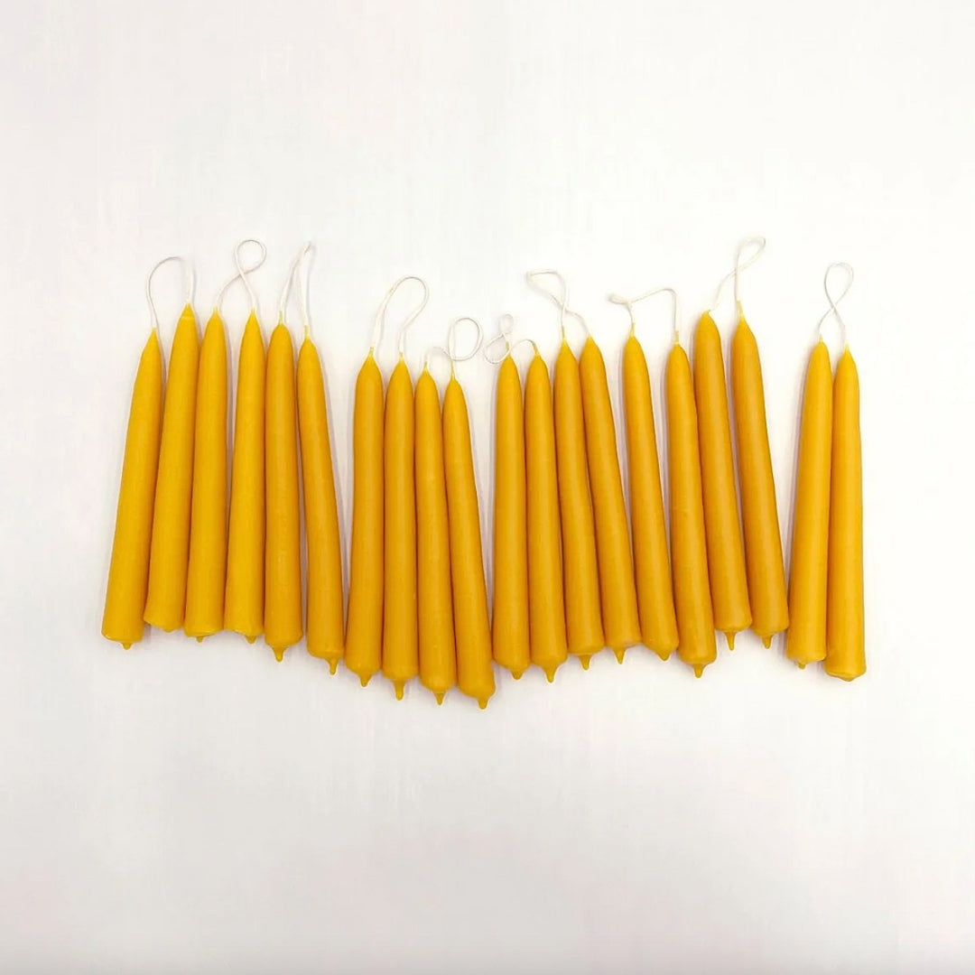 Row of beeswax candles with cotton wicks on a white background