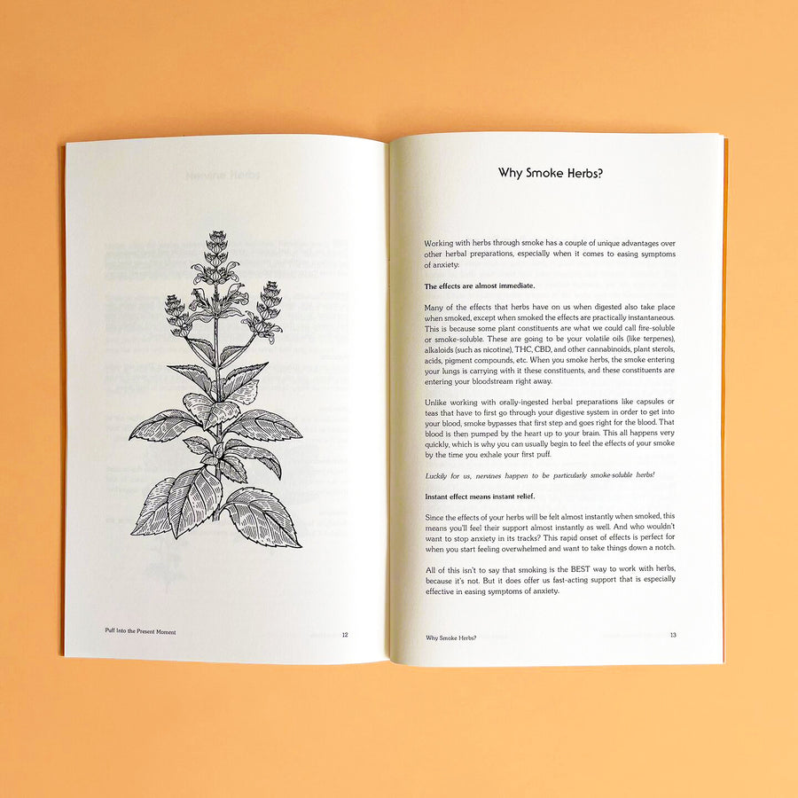 Puff Into The Present Moment - a print zine on crafting herbal smoking blends to ease anxiety